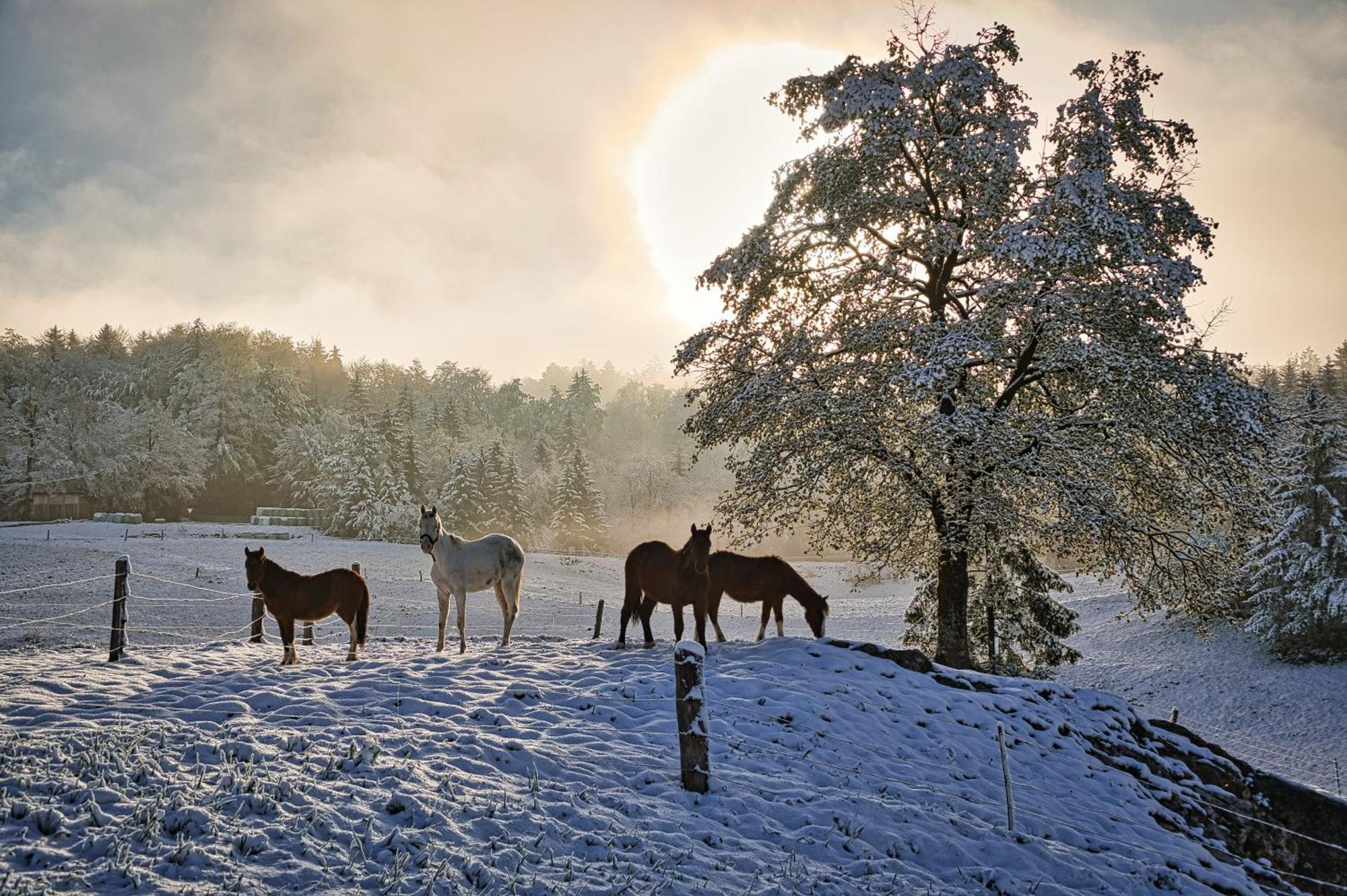 Hotel Cowboy'S Land Visnja Gora Esterno foto